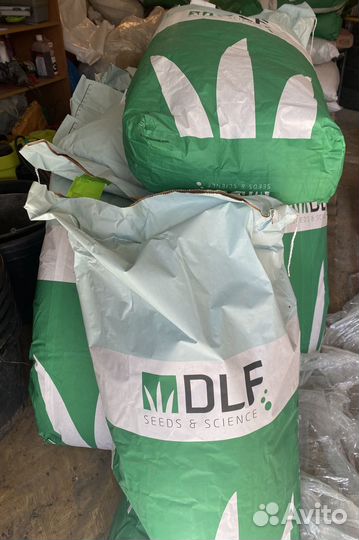 Семена травы. Посевной газон