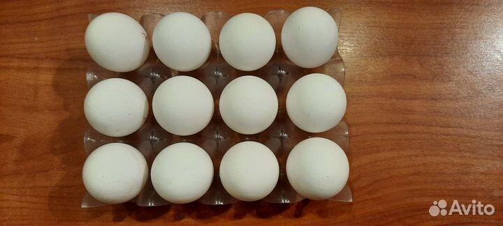 Форма пластиковая для хранения яиц в холодильнике