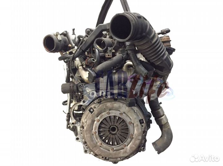 Двигатель Kia Optima Picanto Potentia Pregio