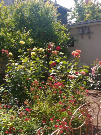 Дом 60 м² на участке 1 сот.