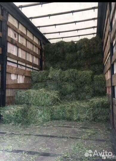 Сено продается от 600 тюк с доставкой