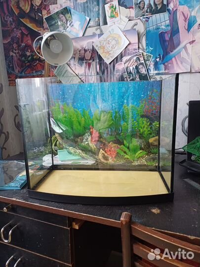 Аквариум