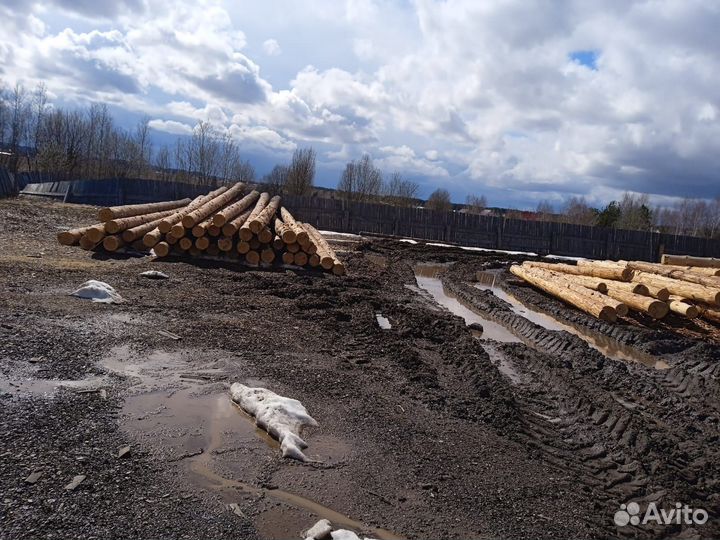 Срубы, сруб, зимний лес