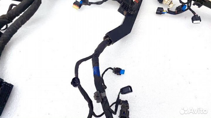 Проводка двигателя Kia K5 DL3 G4KN 2021