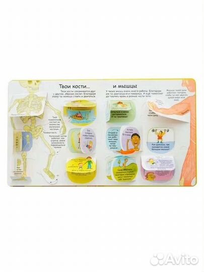 Секреты человека книга с окошками