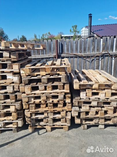 Европоддоны бу