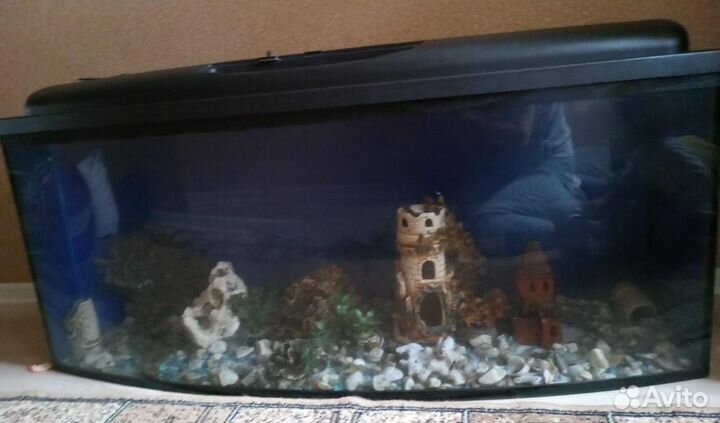 Аквариум на 250 лт