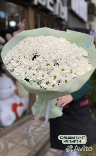 Букеты ко дню учителя