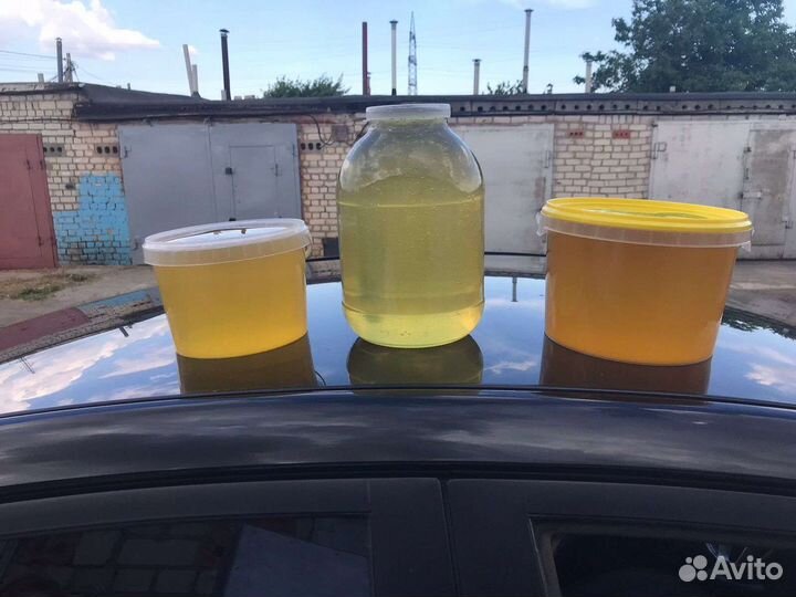 Мёд натуральный 2023г