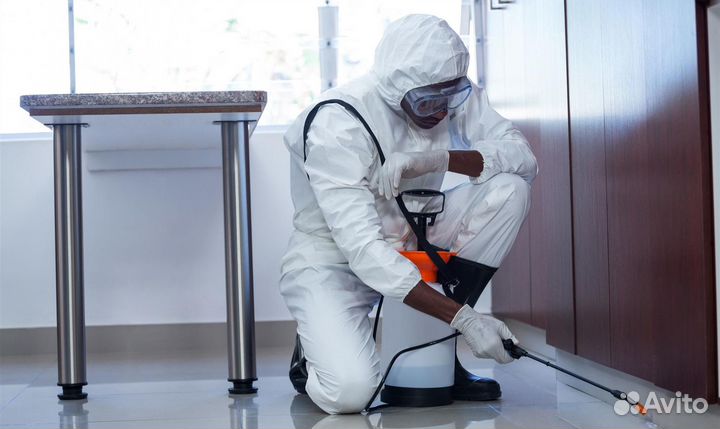 Уничтожение клопов, тараканов, клещей, ос, ртуть