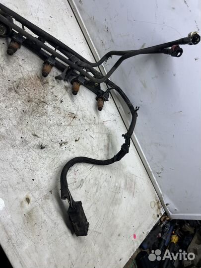 Ford focus 1 топливная рампа в сборе 1.6 duratec