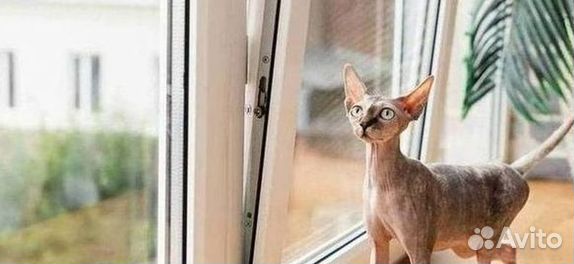 Окна и балконы новые