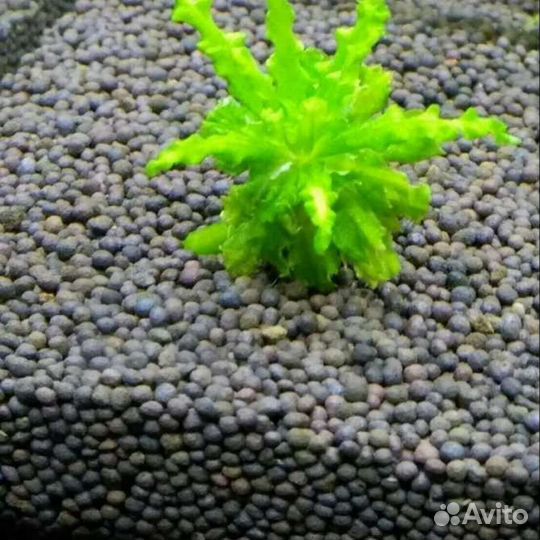 Грунт пропант