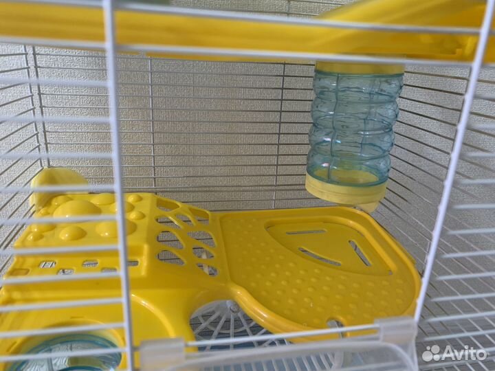 Клетка для джунгарского хомяка