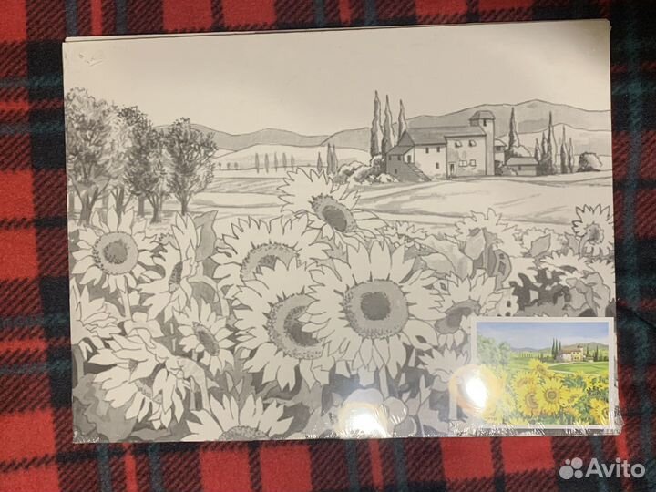 Холст для раскрашивания