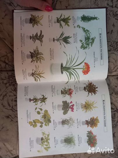 Книга про растения.комнатные растения в интерьере