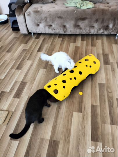 Игровой туннель для котят