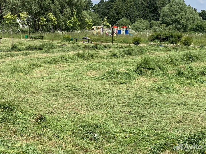 Покос травы, рассчистка участков от кустарника