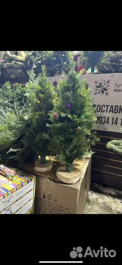 Елочка настольная из пихты