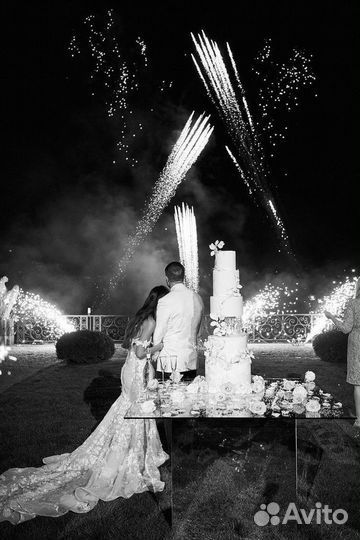 Организатор