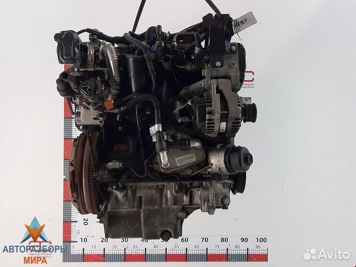 Форсунка Opel Insignia (A) 2009 55566050