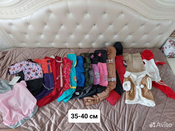 Одежда для собак