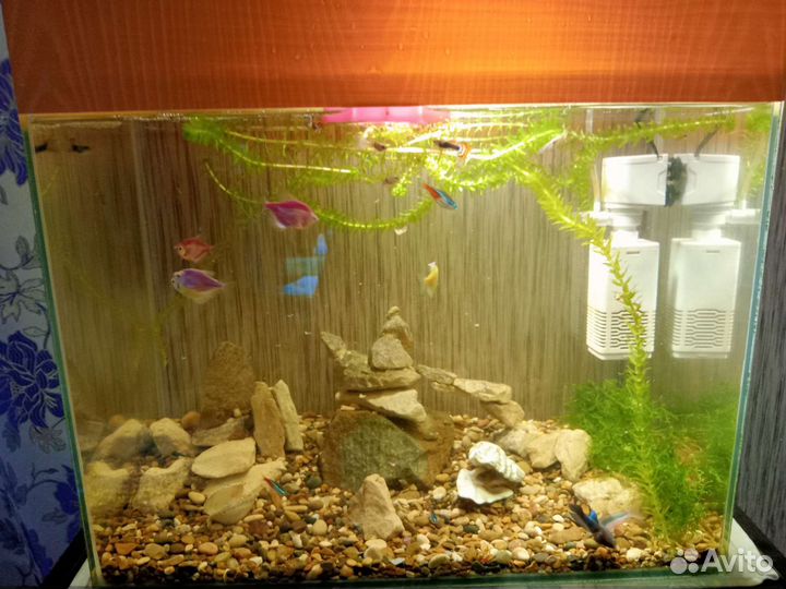 Аквариум