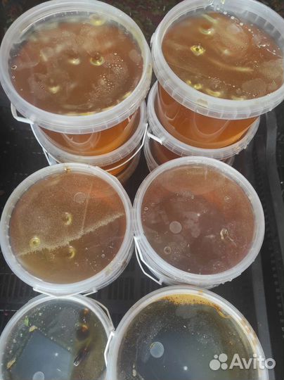 Свежий мед 2023года