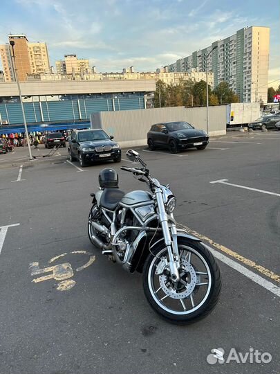 Harley Davidson V Rod 2011 юбилейный