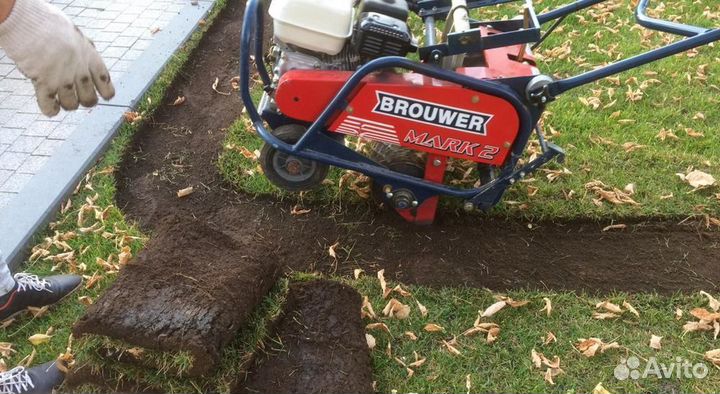 Рулонный газон