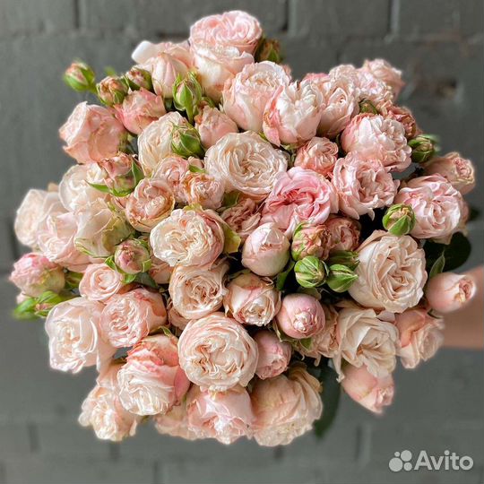 Доставка роз