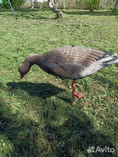 Чучела гусей для охоты бу