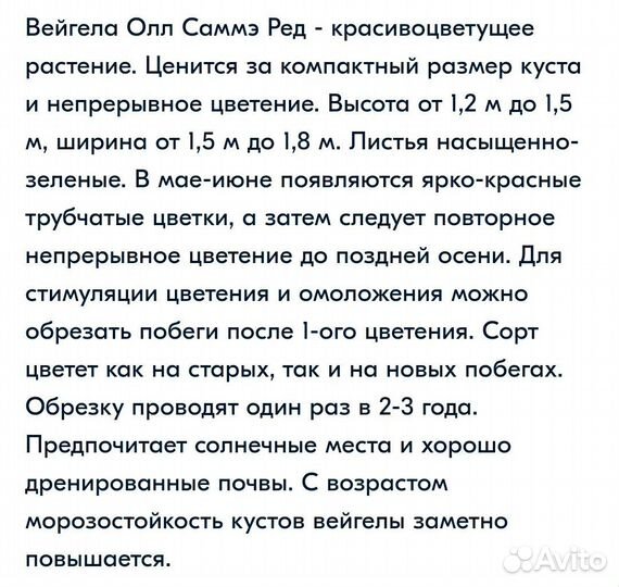 Вейгелла Олл Саммер Ред