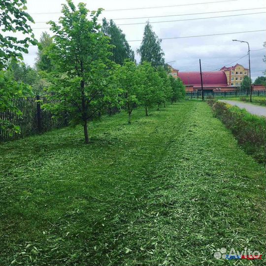 Покос травы триммером. Стрижка газона