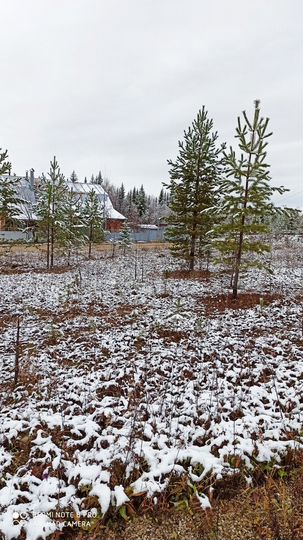 Участок 12 га (ИЖС)