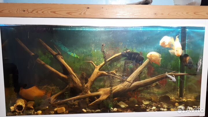 Украшения для аквариума