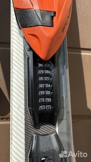 Горные лыжи