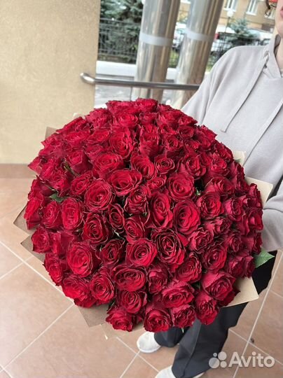51 роза Крупная Эквадор