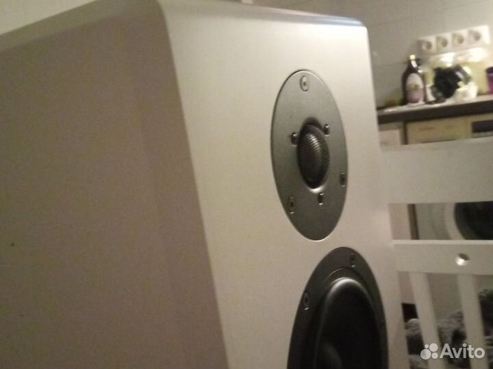 Акустическая система 1 шт