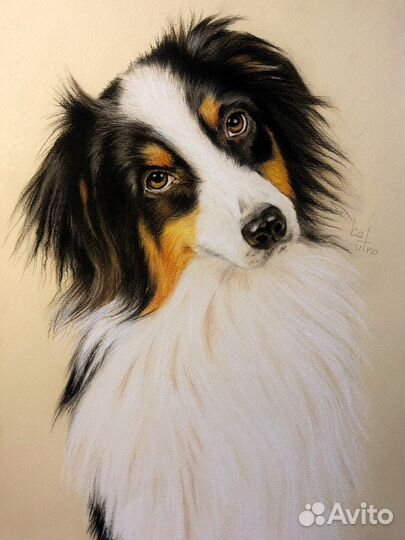 Портрет по фото карандашом