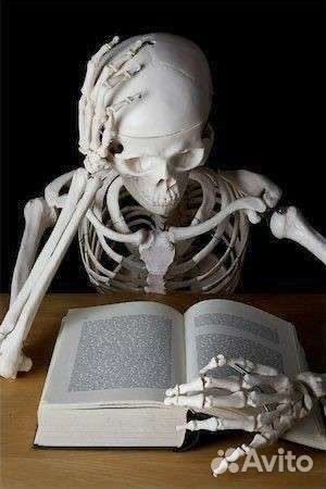 Репетитор по медицинским предметам