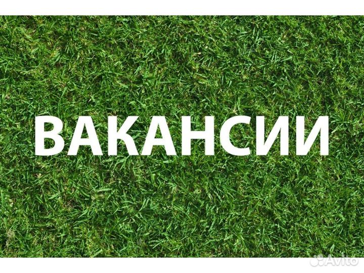 Вахта Упаковщика Приглашаем на Склад одежды Отл. У