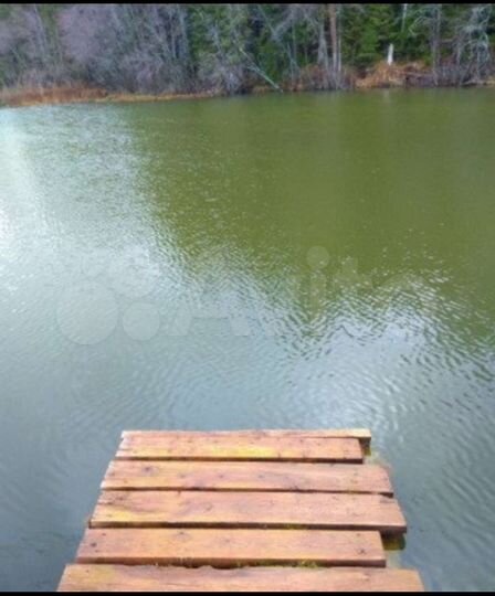 Участок 86 сот. (промназначения)