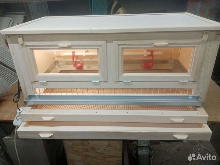 Брудер для цыплят