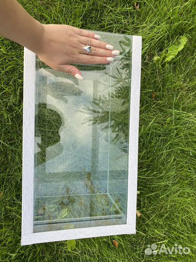 Террариум для рептилий