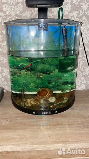 Tetra Аквариум дуговой 30л