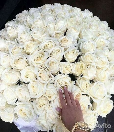 Высокие розы