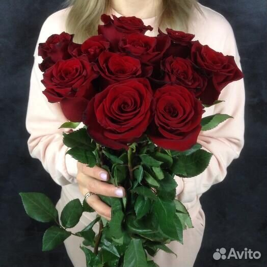 11 роз Эксплорер 60 см. Эквадор. Доставка цветов