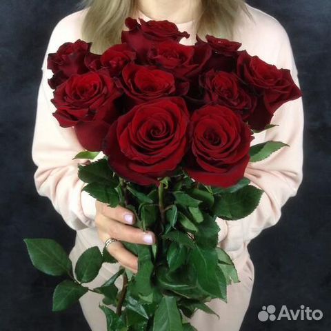 11 роз Эксплорер 60 см. Эквадор. Доставка цветов