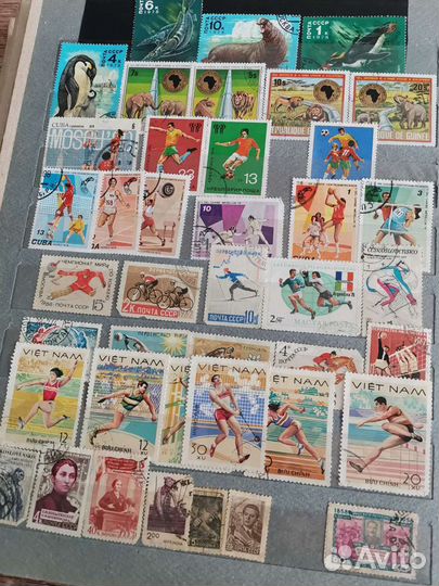 Альбом марки (коллекция)